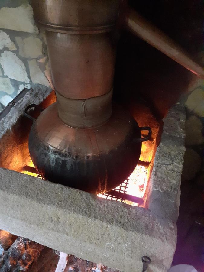 Aromas Dos Salgueiros Villa Castelo de Vide Ngoại thất bức ảnh